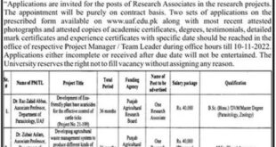 University of Agriculture UAF Faisalabad Job s